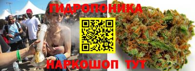 а пвп мука Пугачёв
